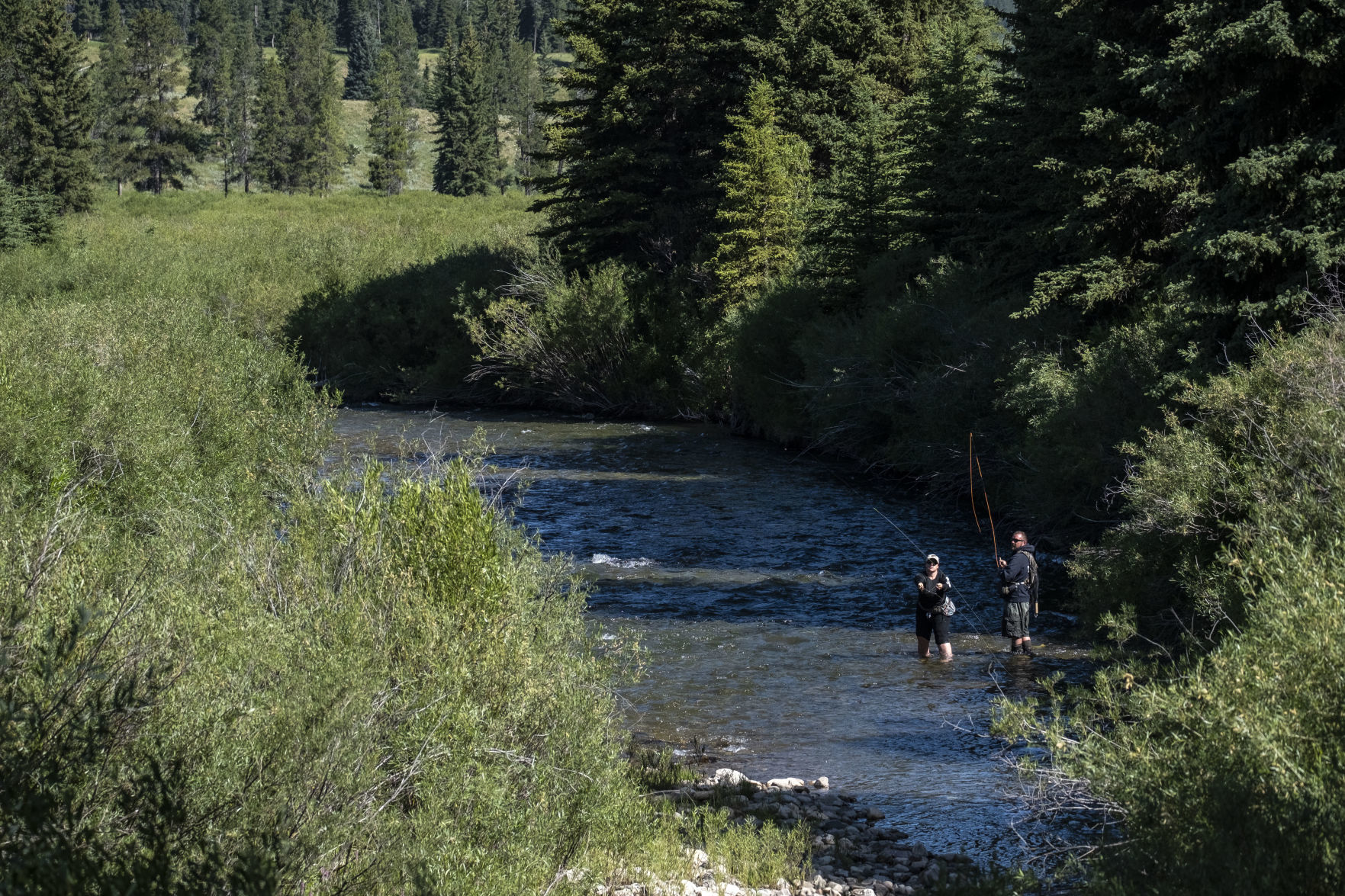 Fly fishing